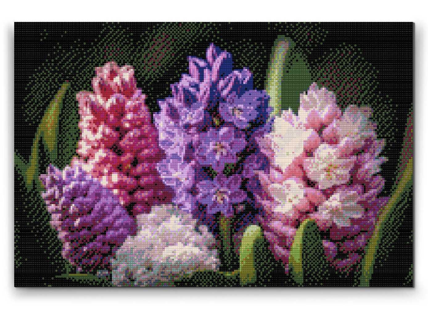 Diamantové malování - Hyacinths
